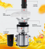 110V electric juicer modern vertical mixing mini crushing without BPA household food mixing, other kitchen utensils