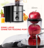 110V electric juicer modern vertical mixing mini crushing without BPA household food mixing, other kitchen utensils